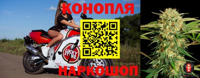 мяу мяу мука Ковров
