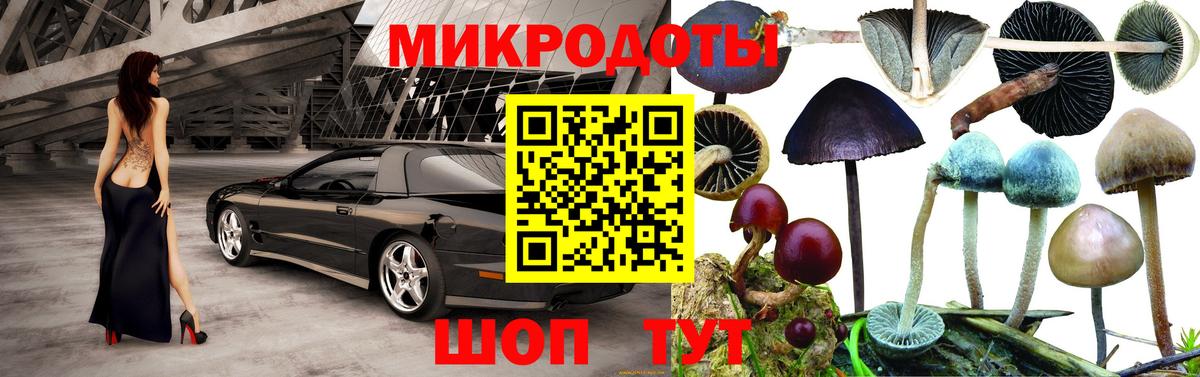 Кстово  Галлюциногенные грибы Cubensis  Вход с VPN 